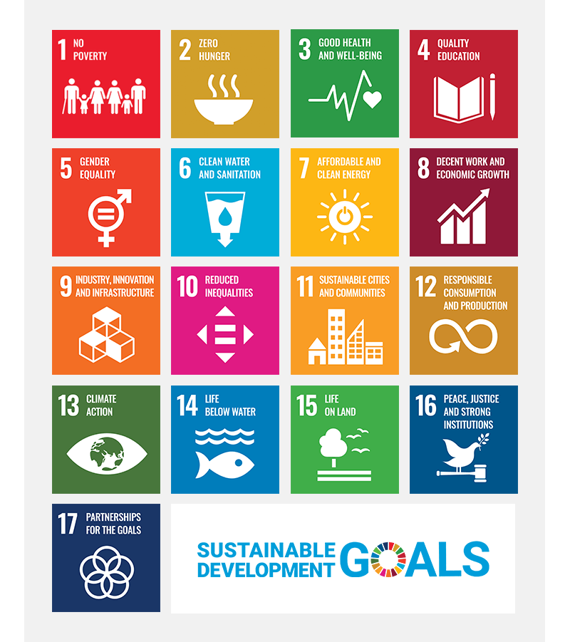 Sustainable Development Goals through access to finance